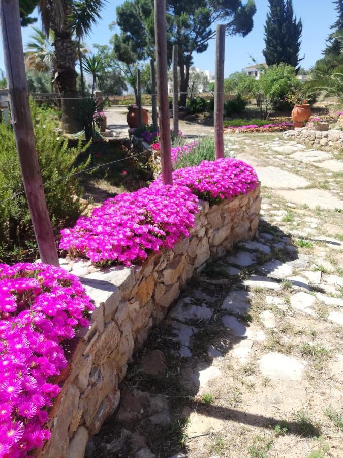 Monte Viana Villa Fuzeta Eksteriør bilde